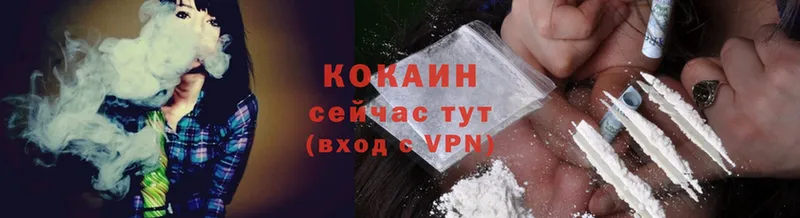 Cocaine FishScale  где можно купить   Хабаровск 