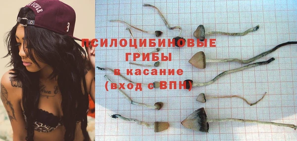 мяу мяу мука Михайловск