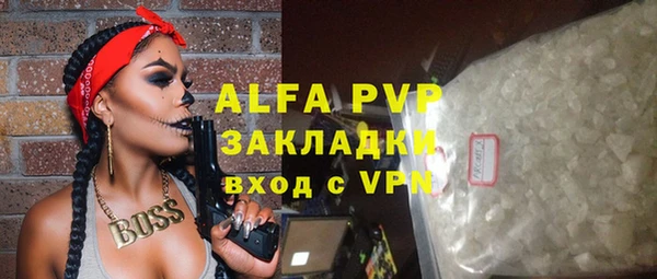 стаф Надым