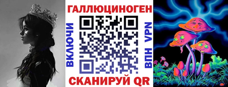 KRAKEN ONION  Хабаровск  Псилоцибиновые грибы Psilocybe 
