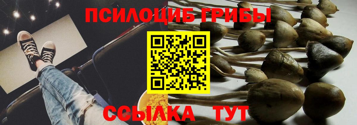 Галлюциногенные грибы GOLDEN TEACHER  Псилоцибиновые грибы Psilocybine cubensis  Вход с VPN  Хабаровск 